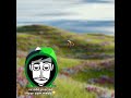 Olha a belinha é fofinho #incredibox #saveincredibox #incrediboxmemes #shorts #memes