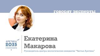 Екатерина Макарова о стратегии развития Арктика 2035
