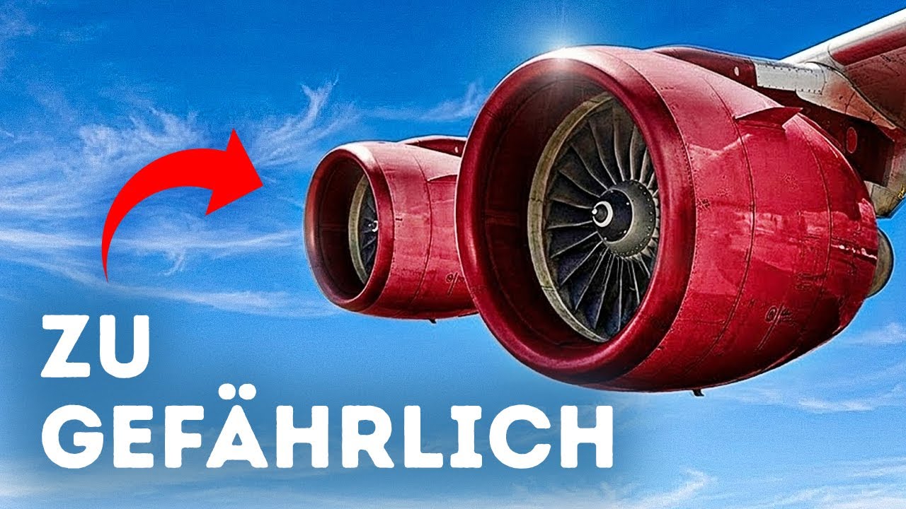 Der wahre Grund, warum Flugzeuge keine Vogelschutzbarrieren haben