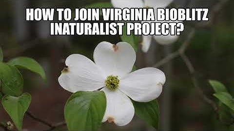 Virginia BioBlitz- How to join an iNaturalist project?