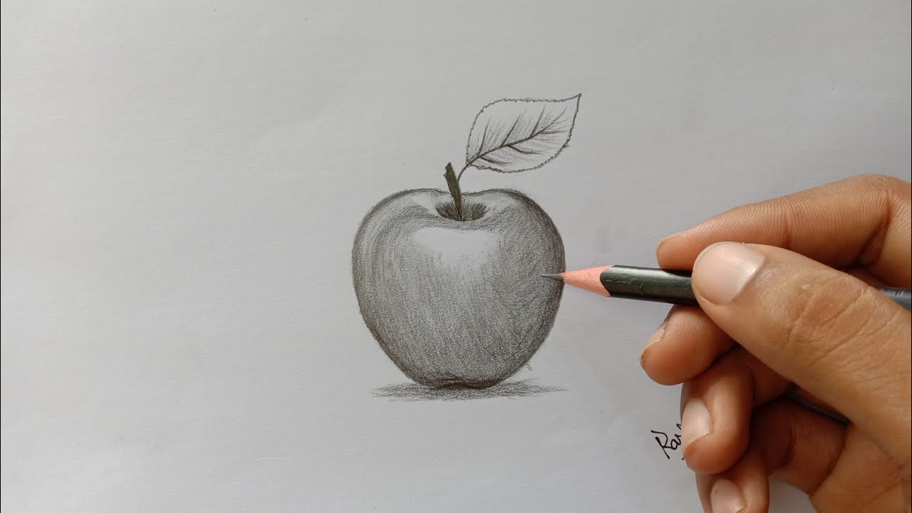 How to Draw An Apple in Pencil | step by step how to use pencil strokes |  Artist : Supriyo - YouTube