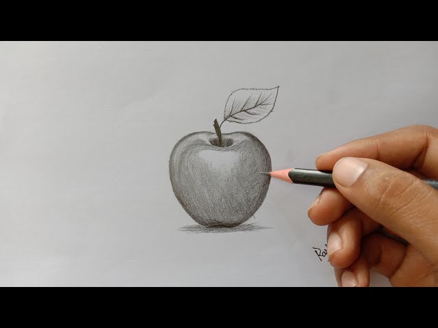 Black and white charcoal drawing of apple Stock Photo - Alamy