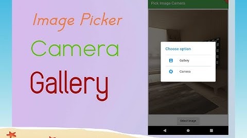 Flutter Pick Image from Gallery or Capture Image from camera