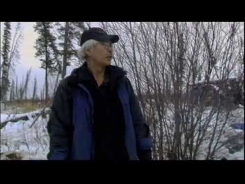 Arctic Son - Arctic Son - Protecting the Caribou Calving Grounds (4/4)