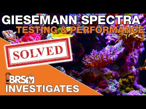 giesemann aurora installation setup