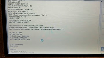 Bmw MSD81 ISN reading (2 minutes)