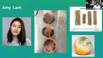 Sustainability Awareness Week 2021: Collaborations with Nature -- The FIT Genspace Scholars Program