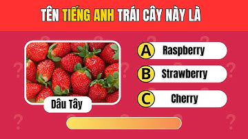 Phần 4: Bạn Có Biết Tên Tiếng Anh Các Trái Cây Này? | Đố Vui Cực Hài Ai Cũng Thử!