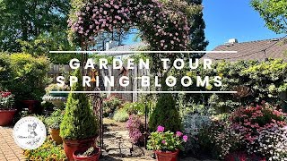 🌸Garden Tour Spring Blooms🌸The Garden Comes to Life🐝 #gardeningvideos #landscape #northerncalifornia