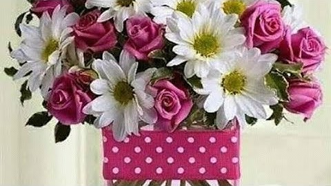 How to add image in HTML | Html code to insert image using Android mobile anwriter | Web Coding