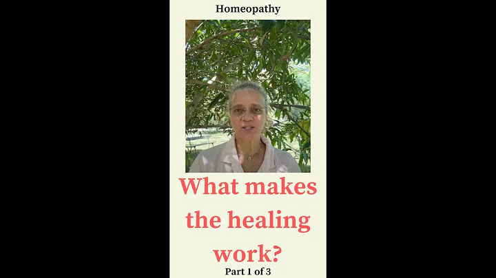 Homeopathy. How does it work? Basic Principle (Part 1 of 3) Ingrid Schutt classical homeopath