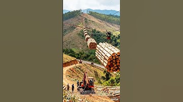 Logging Operation: Using a Cable System to Transport Logs
