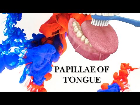 PAPILLAE OF TONGUE || VERY SIMPLE EXPLANATION