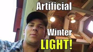 chicken coop light