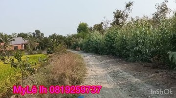 Cần bán nhanh DT 2 mẫu 630m đất thổ cư thuộc huyện mộc hóa tỉnh Long An