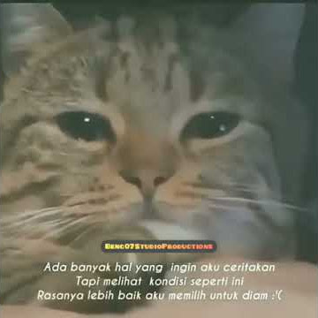 Story WA Diamku