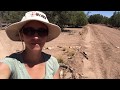 Our High Desert Homestead - Introduction