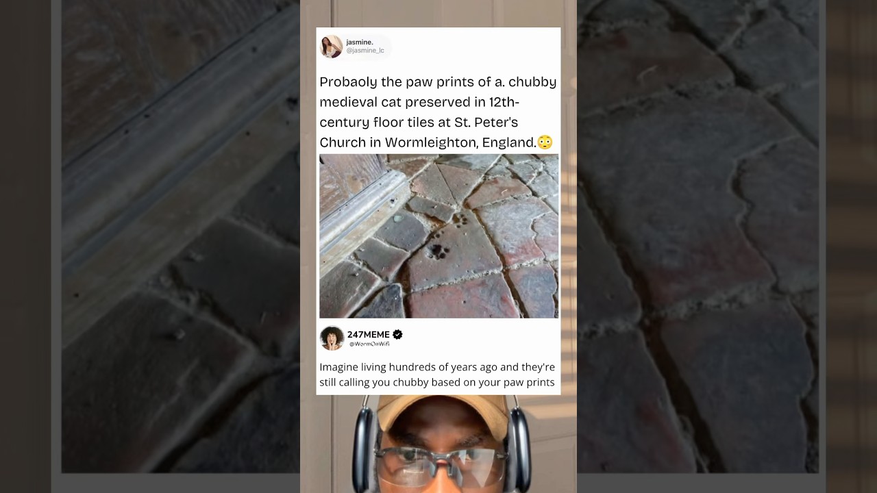 Отпечаток лапы пухлого средневекового кота XII века.