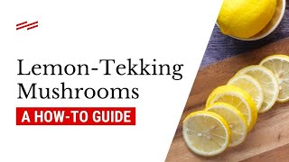 How to Lemon Tek Mushrooms