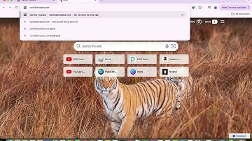 How to Get Full-Bright in Minecraft 1.21 (Vanilla Tweaks)