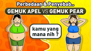 OBESITAS APEL dan PIR! Ternyata ini PENYEBAB PERUT BUNCIT seseorang!