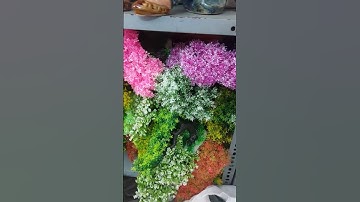 Cây giả trang trí bể cá tiểu cảnh#shorts