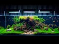 Aquarium maintenance on client location  4k cinematic  green aqua