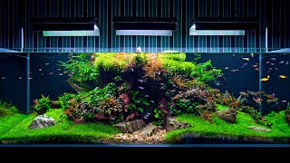 Aquarium Maintenance On Client Location  4K Cinematic  Green Aqua