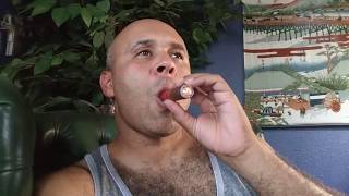 Rocky Patel Sun Grown, 5 minute cigar review