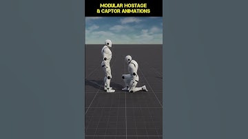 Modular Hostage & Captor Animations - Examples