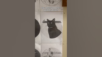 Day 173 of adding my followers to the wall of fame (Part 2)