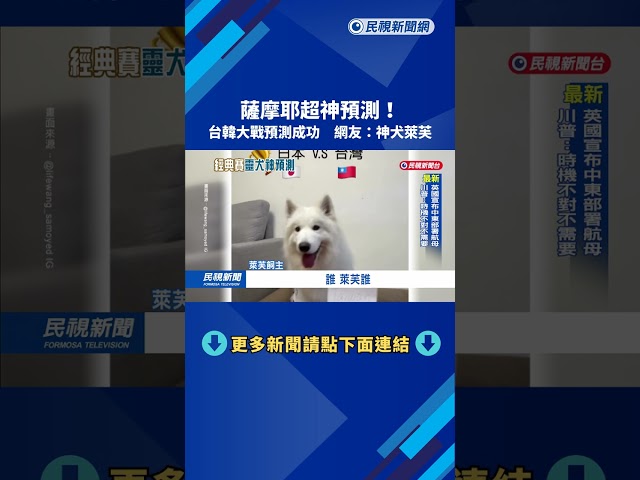 靈犬"萊芙"超神準預測 經典賽台灣隊4場結果全猜對－民視新聞