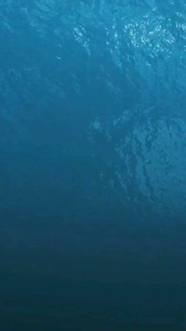 Journey to the Mariana Trench: Uncovering Earth's Deepest Secrets!\