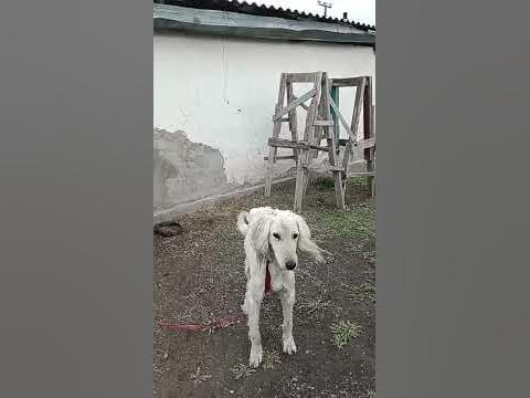 ит такес то ит такес то