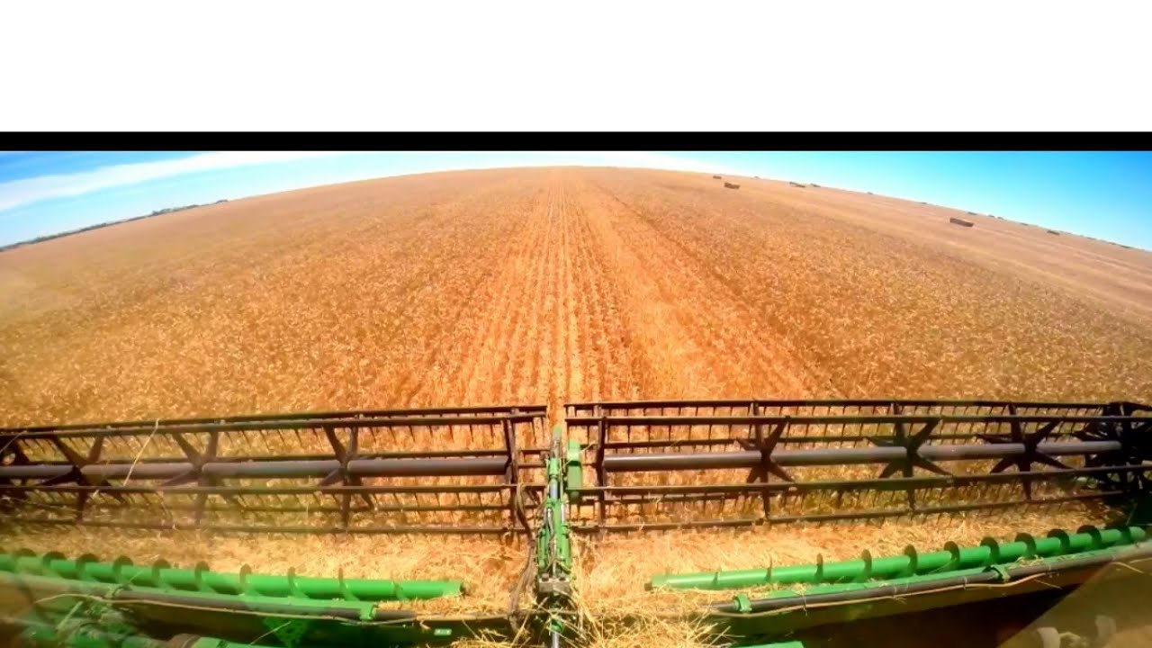 harvest glenvar 2007 wheat australia big lexion