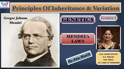 GENETICS LEC 3 | MENDEL