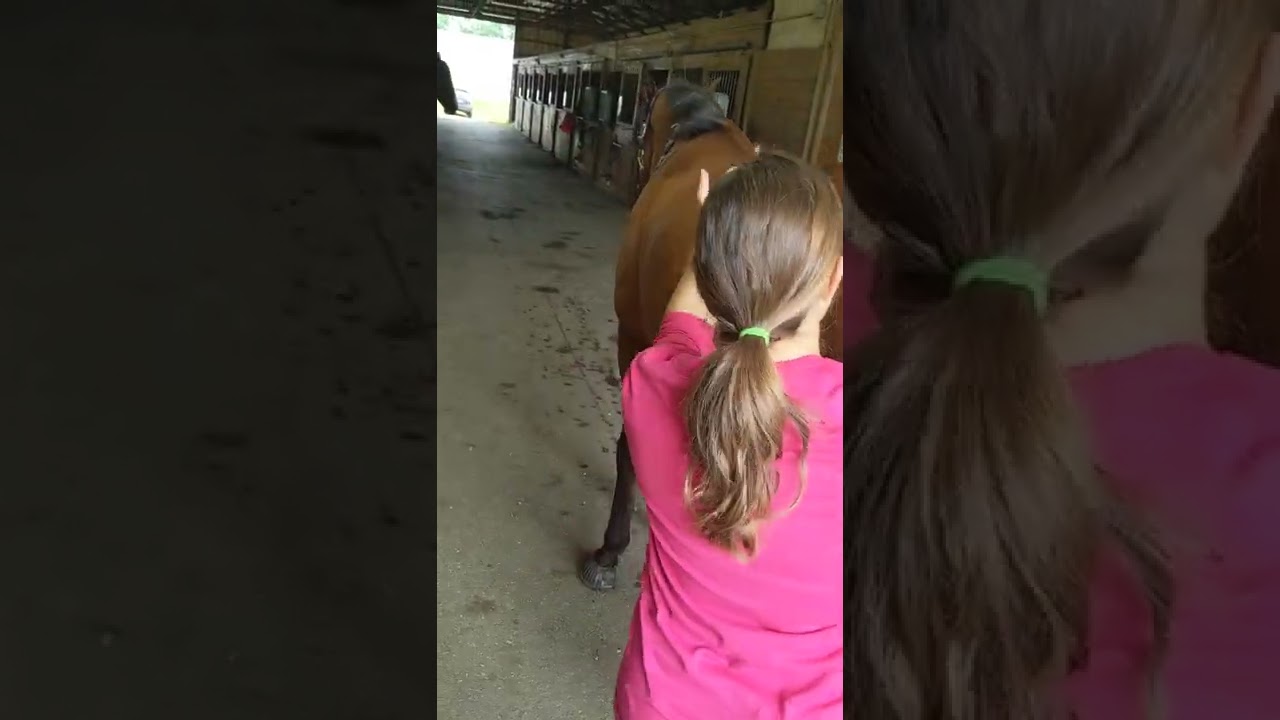 Cat Back Stretch Demonstration