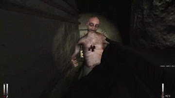 Cry of Fear: Co-op Campaign - Full Playthrough (Solo, No Commentary)