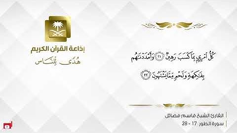 القارئ قاسم فضائل - إن المتقين في جنات النعيم