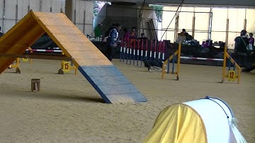 2014 11 30 Doraha Kinki Haruma AG3