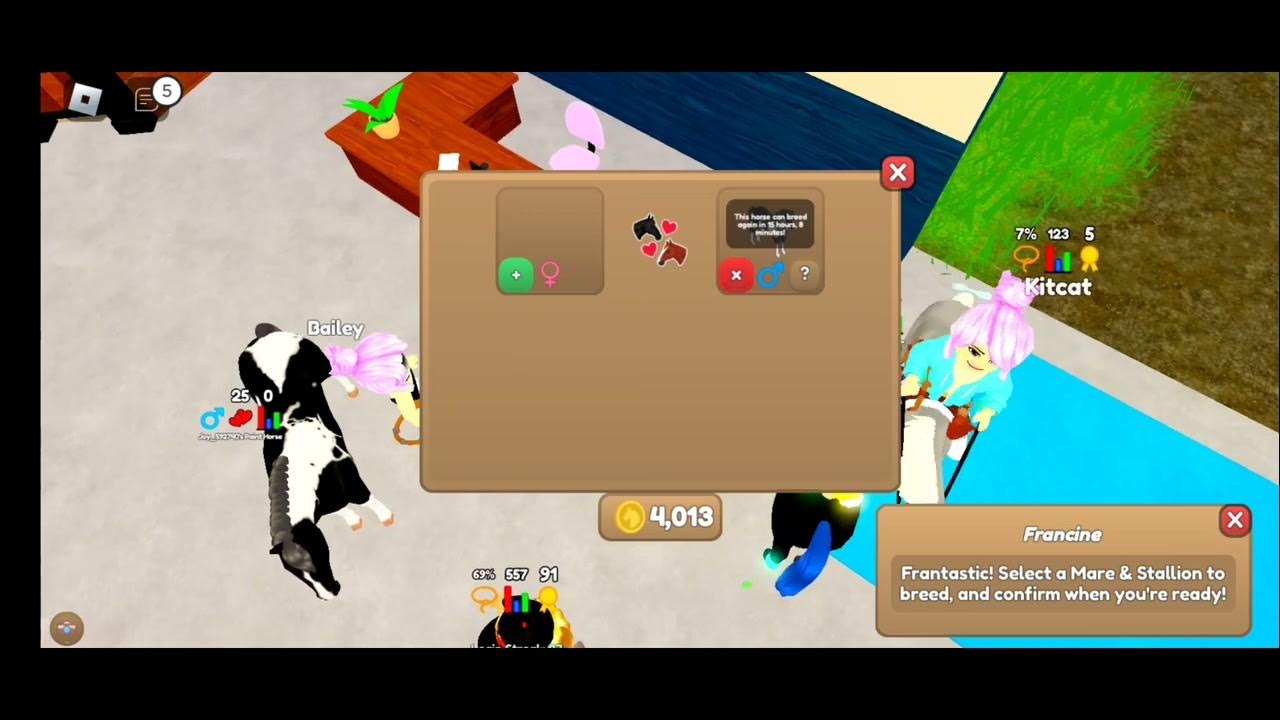 how to get all of the new coats roblox wild horse islands YouTube