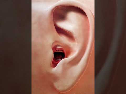 القيل والقال مستنقع فوضوي الخروج منه مكسب عظيم