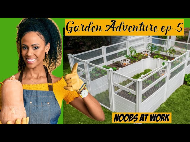 Vita 8 X12 Keyhole Garden Bed Noobs