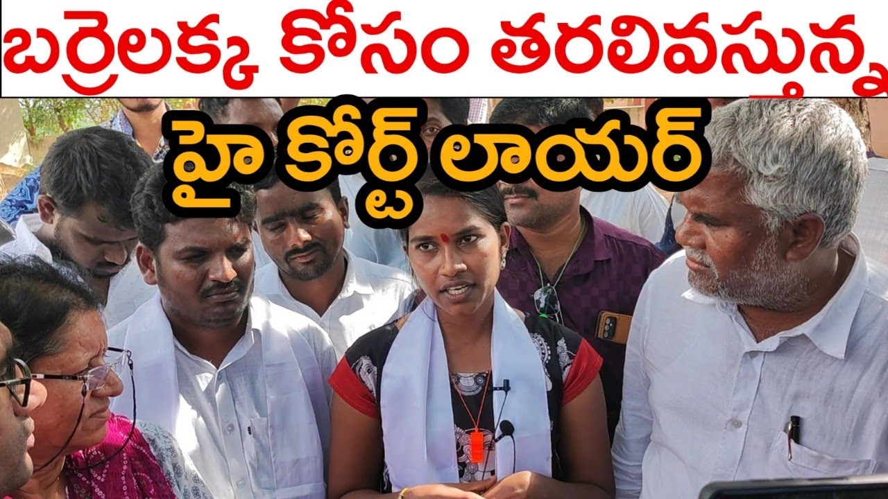 High Court Advocates Full Support To Barrelakka Barrelakka Election high-court-advocates-full-support-to-barrelakka-barrelakka-election