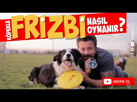 Köpekle Frizbi Nasıl Oynanır