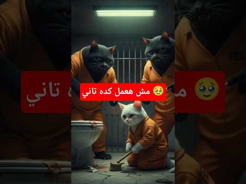 دخل السجن بسبب فرخة