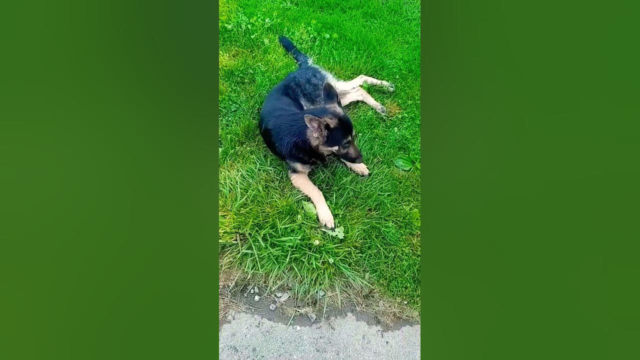 i-miss-you-buddy-youtube