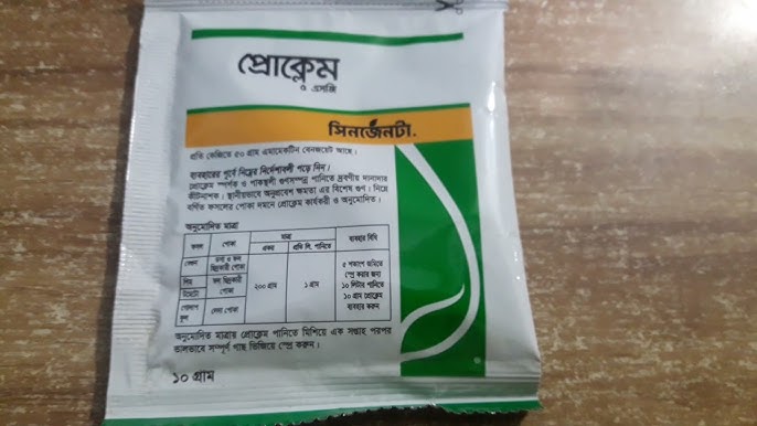 Улан-Удэдегі арзан жезөкшелер және олардың саны