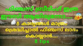 എങ്ങനെ ഫിഞ്ചസ് ബ്രീഡ് ചെയ്യാം.ഫിഞ്ചസ് ബ്രീടിംഗ് ലാഭകരമാക്കാൻ ശ്രദ്ധിക്കേണ്ട കാര്യങ്ങൾ