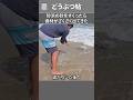 砂浜の砂をすくったら、食材がざくざく出てきた